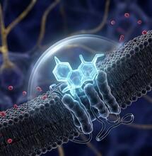 Antagonismo Neutro: Revolución en la farmacología