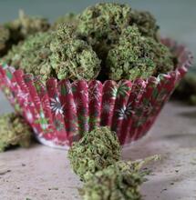 First Cannabis Sale in North Carolina ‘Part of History’