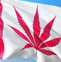 Canada Five Years Into Legalization
