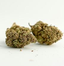 Flores de CBD: la revolución natural que conquista a España