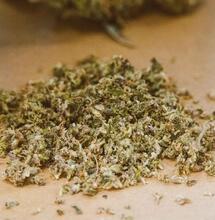 Flower continues to dominate US market.