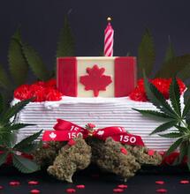 cannabis 2.0 edibles Canada