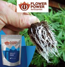 Fertilizantes Flower Power