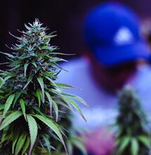 Cómo cuidar la vista de los focos LED y de sodio. Imagen de wirestock en Freepik.