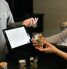 gene modifying technique can boost thc levels in cannabis plants. 