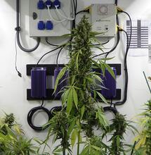 Často kladené otázky