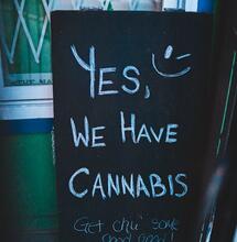In Germania già approvati quasi 300 cannabis club