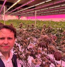 Gisteren opende ik een wietkwekerij