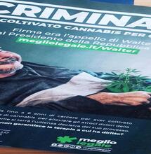 Gli antiproibizionisti si mobilitano per il processo di Walter De Benedetto