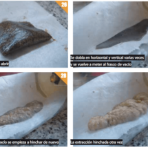 Golden Oil: una potente extracción