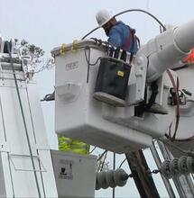 Whitefish Resumes Restoring Power to Puerto Rico After Payment