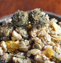 Cómo hacer una granola cannábica sativa