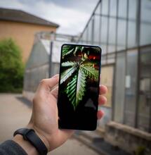 Aparece el porro electrónico
