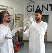 Nerolidolo: il terpene che trasforma i pesci rossi in verdi