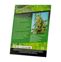 Green Poison F1 Fast Version®