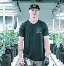 Crianza de cannabis.