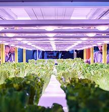 Greenhouse Tech- Budoucnost