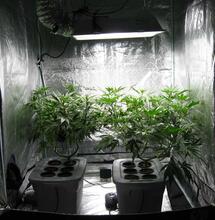 Escoge la luz adecuada para tu indoor