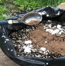 Guano de murciélago para marihuana