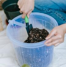 Is Bat Guano a Safe Fertiliser?