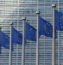 Luz Verde a las elecciones europeas 2024