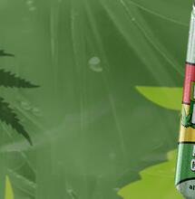 Hallo Hanfi: Wein-Mischgetränk ohne Weed-Kick