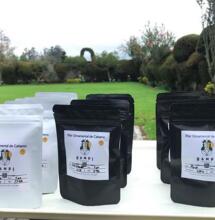 Las flores de cannabis de Hampi.