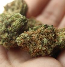 Health Department Recommends Marijuana Reschedule