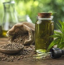 Aceite de cáñamo: Prensado en frío vs. Extracción por CO2 supercrítico