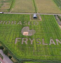 Hennep doolhof in Friesland geopend