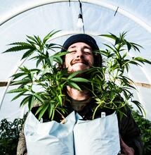 Oekraïener maakt docu over wietwalhalla Emerald Triangle