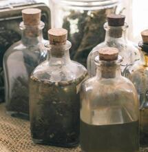 Historia de la marihuana en las farmacias europeas y españolas durante el siglo XIX