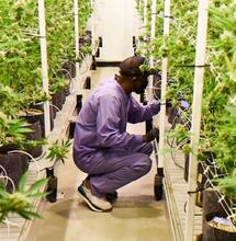 Hoe gaat het met Jay Z?