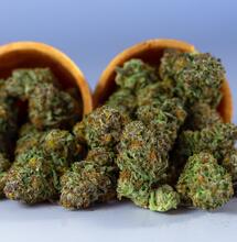 Homegrow vs. Commercial Sales - Which is Better?