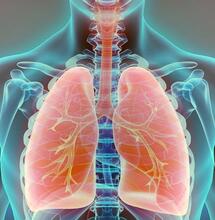  Can you keep your lungs healthy while smoking weed? Explore ways to reduce lung irritation, the science of cannabis smoke, and exercises to clear your lungs. 