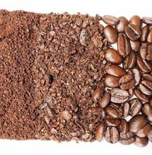 Coffee Grounds for Your Cannabis Garden
