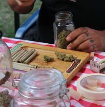 Declined Sales and Lost Jobs on Arizona Cannabis Market