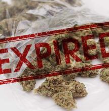 How Long Does it Take for Weed to Expire?