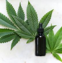 Medicinal Cannabis and Your Immune System