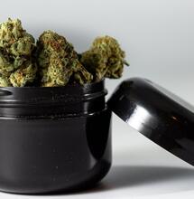 how much weed was sold on Green Wednesday?