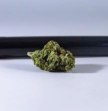 Which Cannabis Strain Matches Your Mood? Tips for Choosing the Right One
