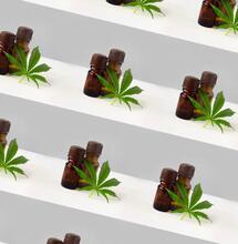 8 Steps to Help You Learn How to Invest in Cannabis Stocks