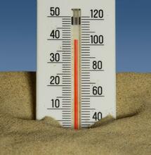 Scorching Skies: Heat Stress and Watering Tips for Cannabis 