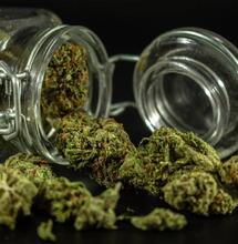 How Do You Store Cannabis the Right Way?