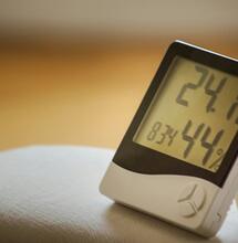 La humedad alta retrasa la floración 3 semanas y reduce la cosecha un 70%