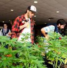 Legal pero en problemas