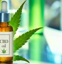 Le cahier des charges de l’expérimentation du cannabis médical dévoilé par l’ANSM