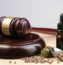 Dal Metodo Di Bella alla Cannabis medica, breve storia della legge 94/98