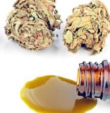 Epilepsia refractaria infantil y cannabis