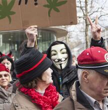 ¿Por qué cada cual por su lado entre los cannábicos? - Una pelusa en el ombligo del movimiento